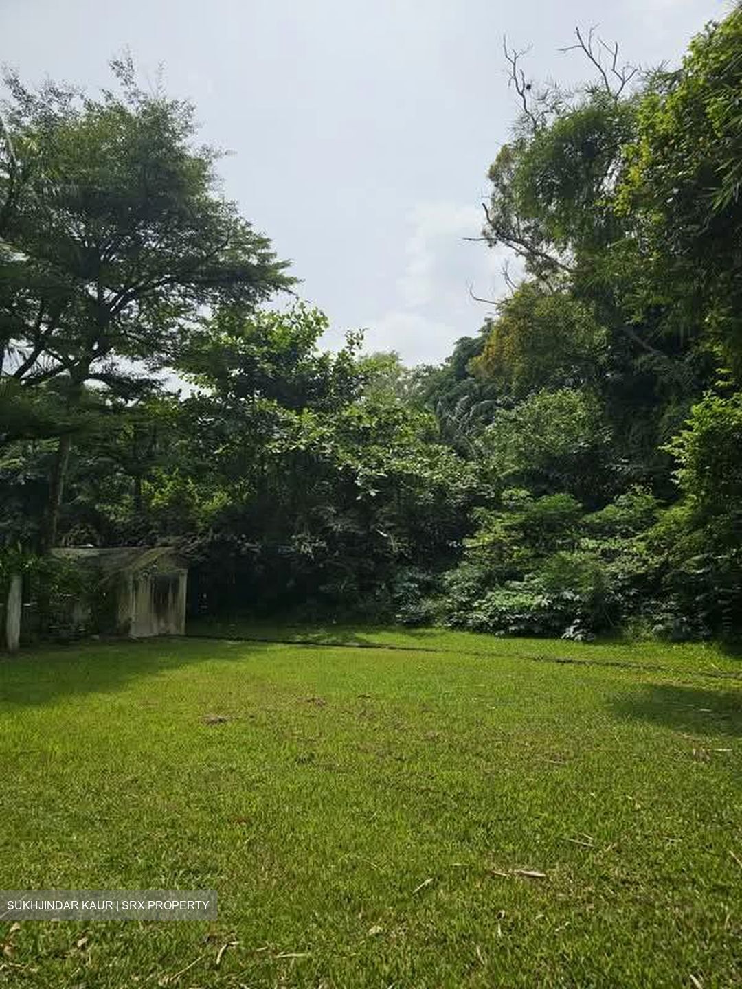The Edgewater (D17), Condominium #602019101